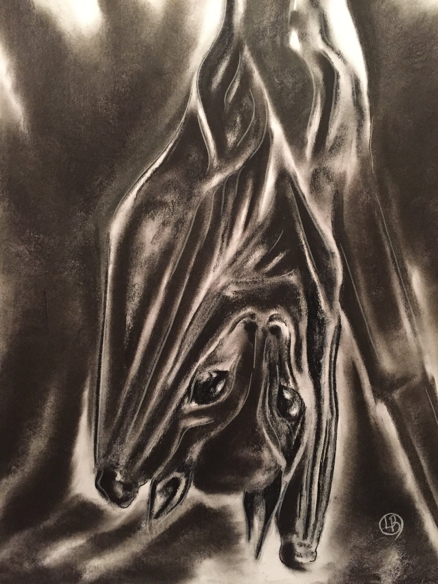Charcoal