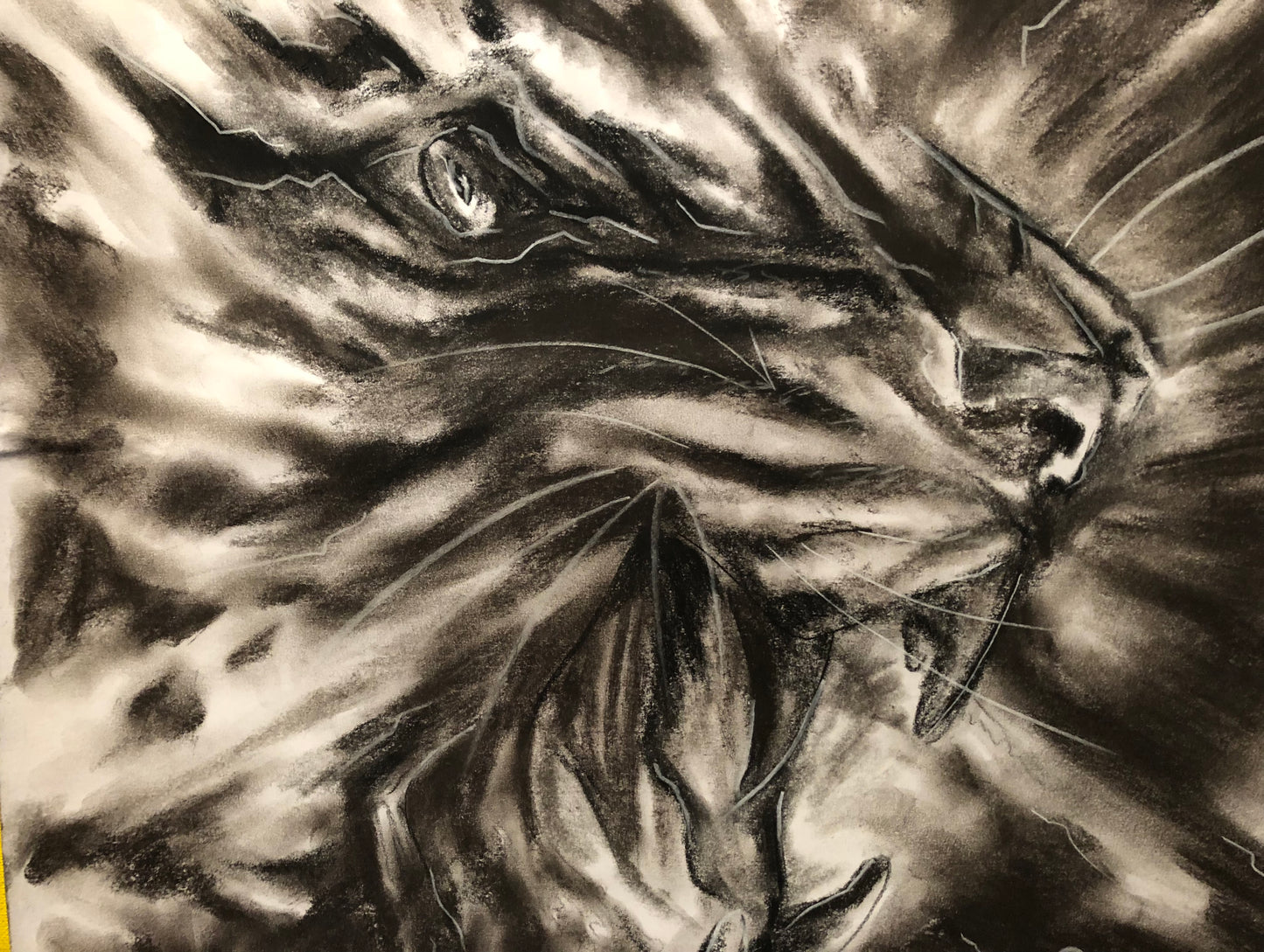 Charcoal