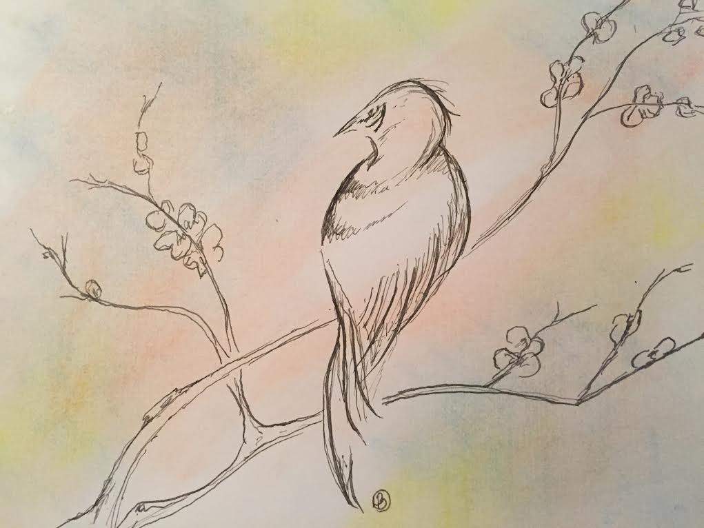 Pastels and Micron Pen