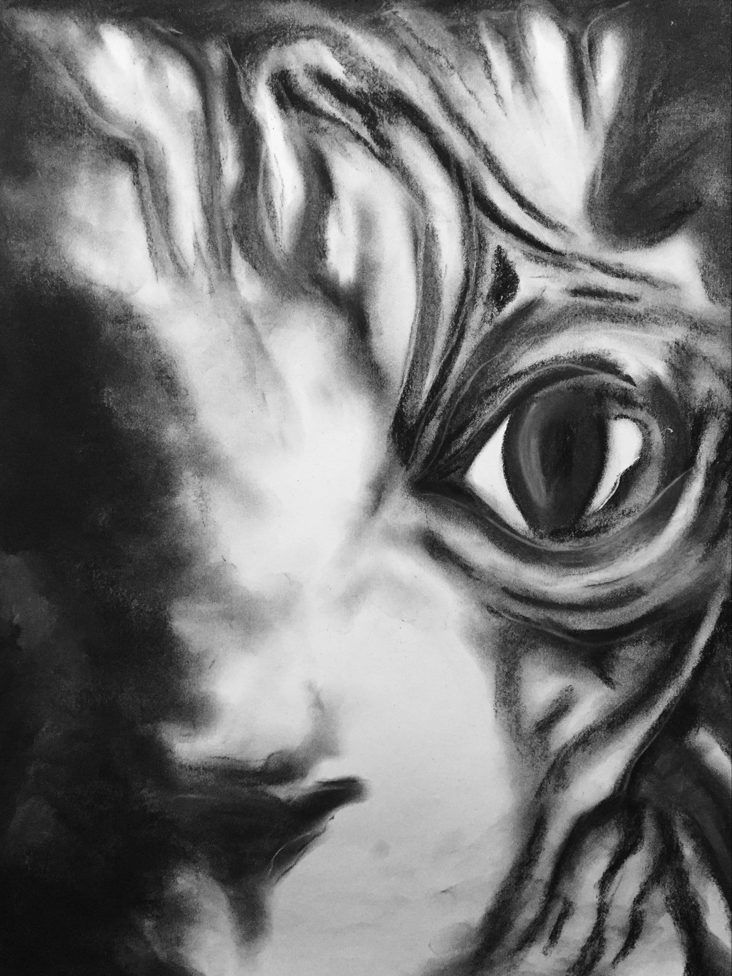 Charcoal