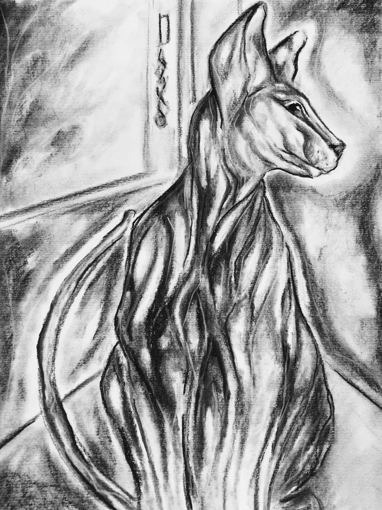 Charcoal