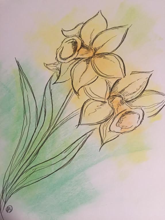 Watercolor and Micron Pen