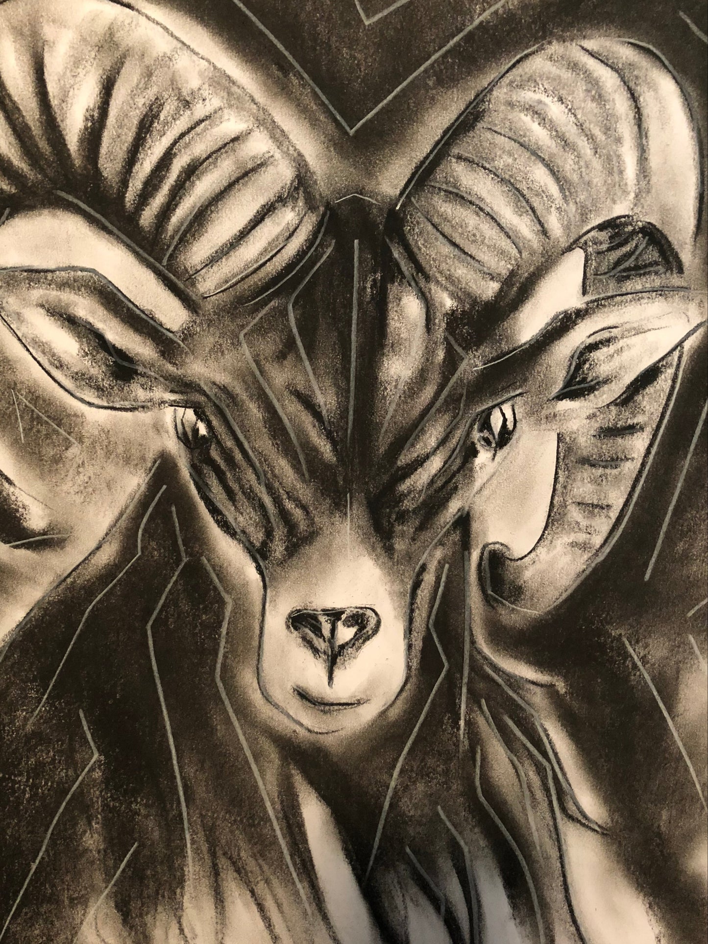 Charcoal