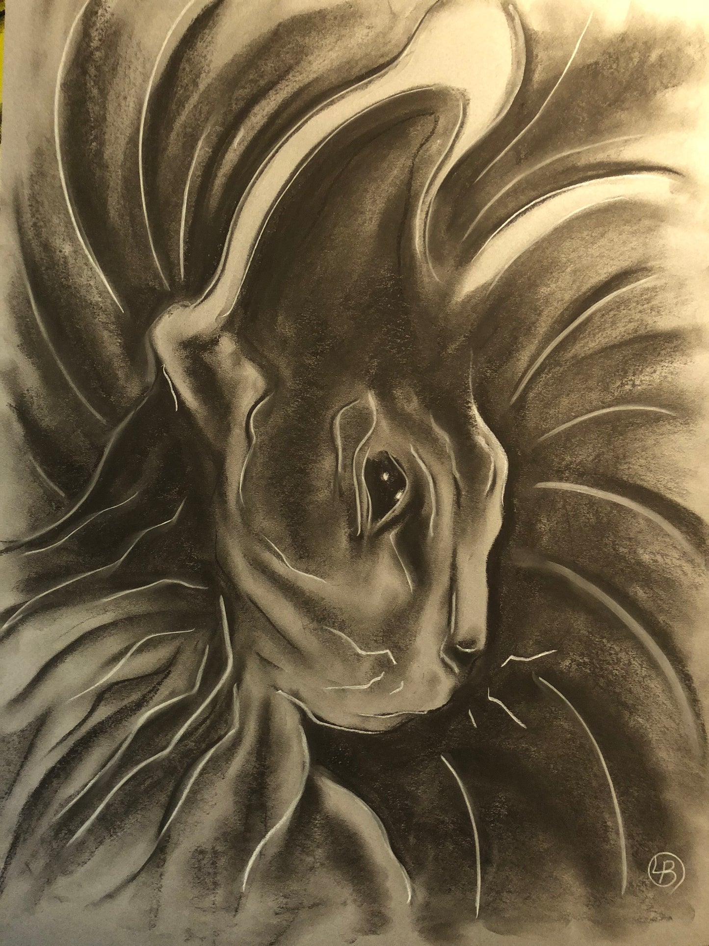Charcoal